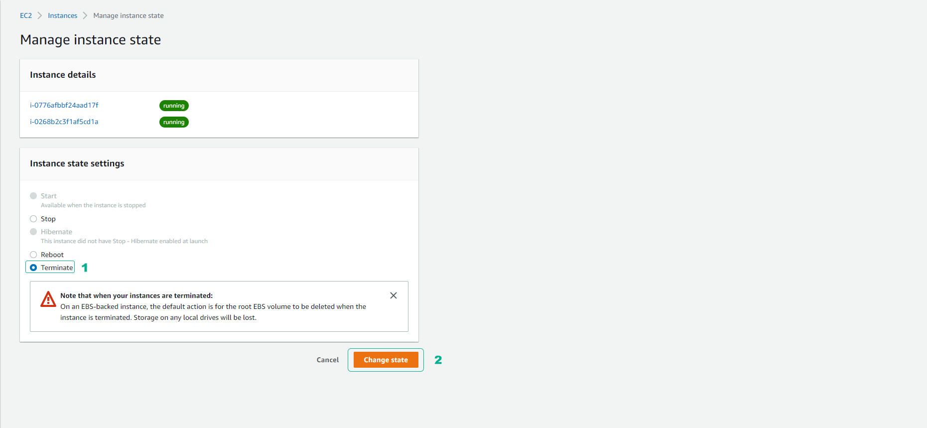 Terminate EC2 Instance